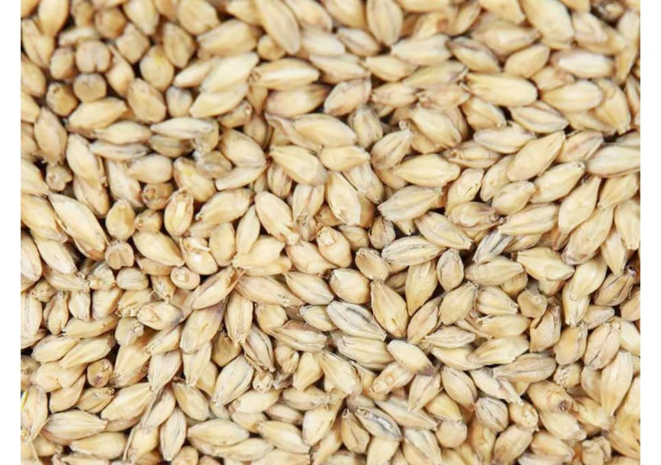 Weyermann Munich-1 Malt 1kg Whole